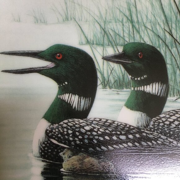 2/$40 Voice of the North Decorative Plate 'Keeping Them Safe' Don Li-Leger - Picture 4 of 10